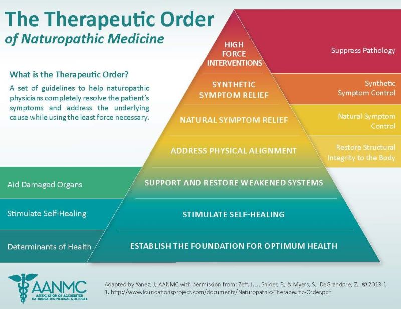 What is Naturopathic Medicine?