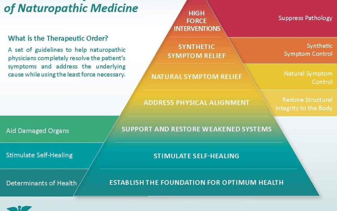 What is Naturopathic Medicine?